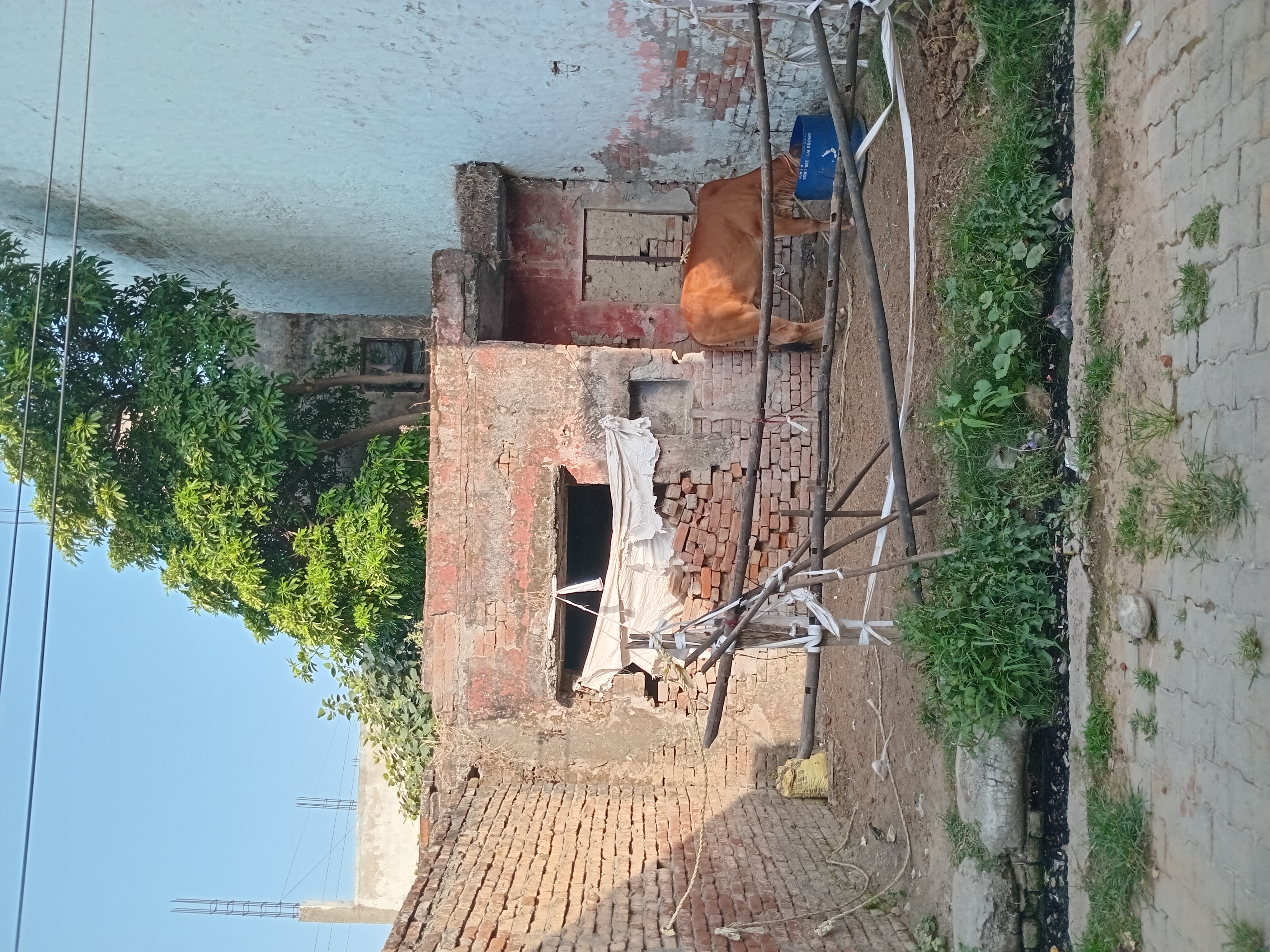 Post Image